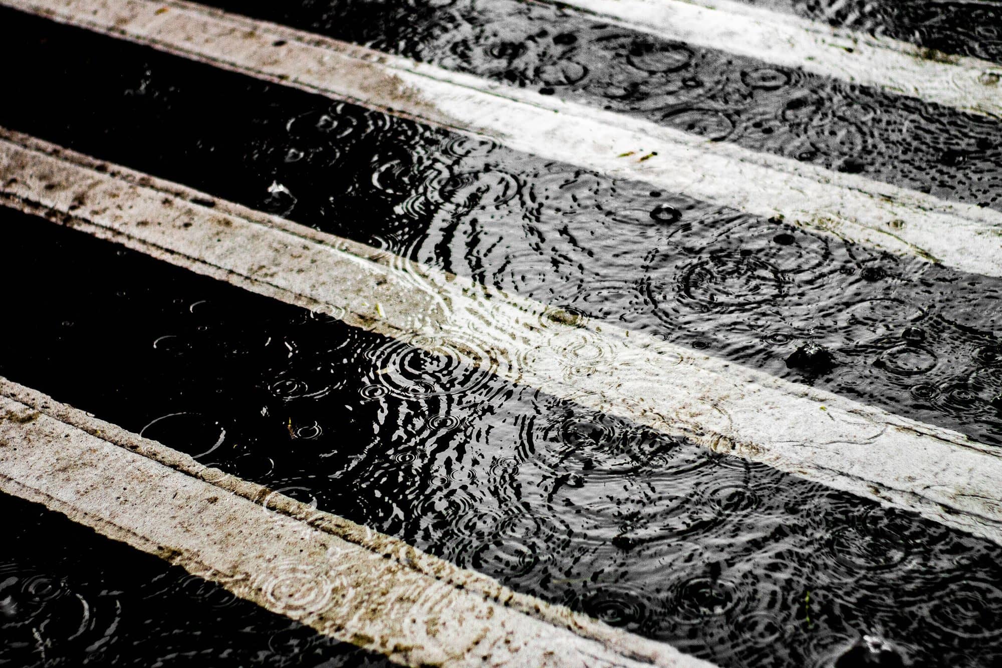 Raindrops rippling a puddle across white crosswalk stripes