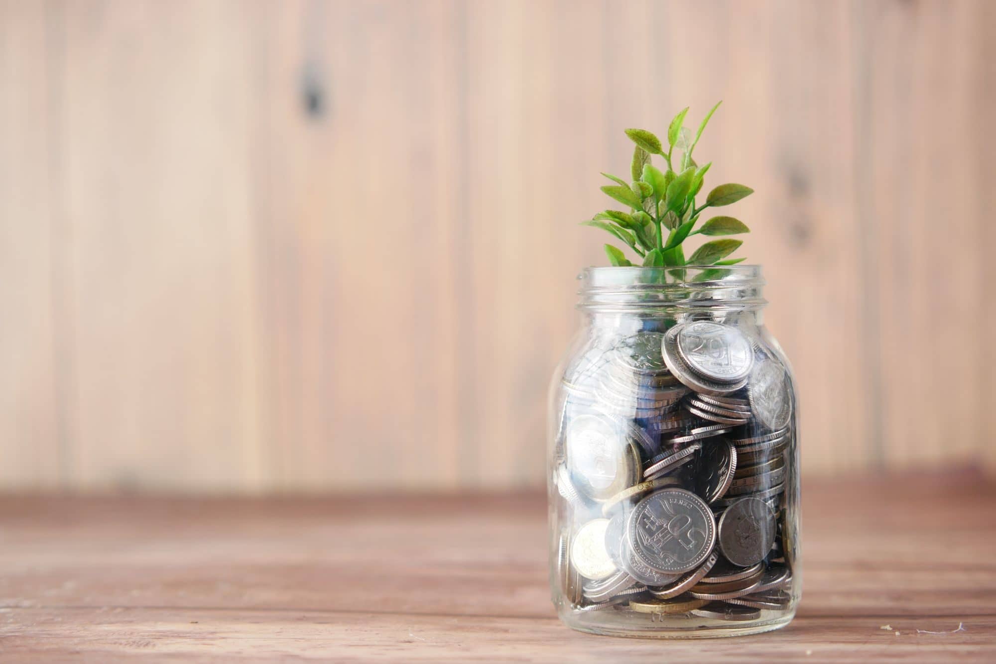 A glass jar full of coins with a small green plant growing from the top